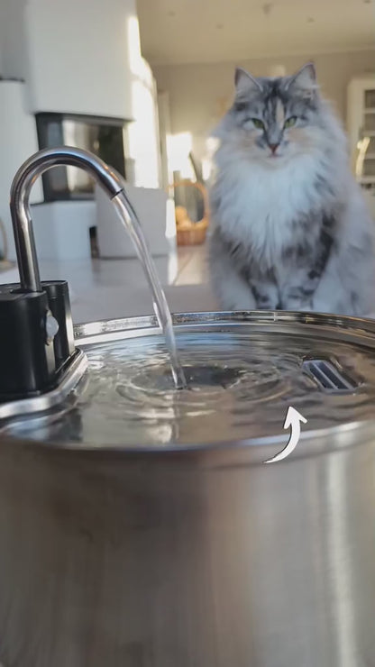 💧 Automatischer Katzen‑Trinkbrunnen